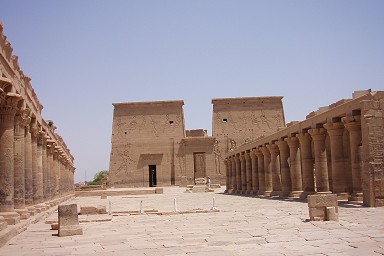 �C�V�X�i�t�B���G�j�_�a�i��꓃��j