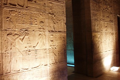 �C�V�X�i�t�B���G�j�_�a�̃����[�t