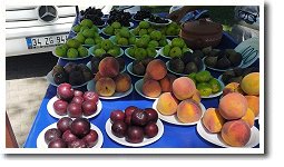 �t���[�c����