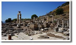 �v���^�l�C�I��