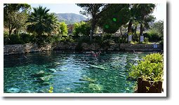 古代温泉プール