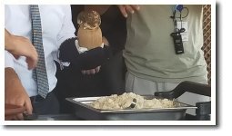 �����ُ̒Ă��P�o�u