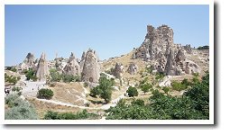 �E�`�q�T�[����