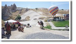 �E�`�q�T�[����