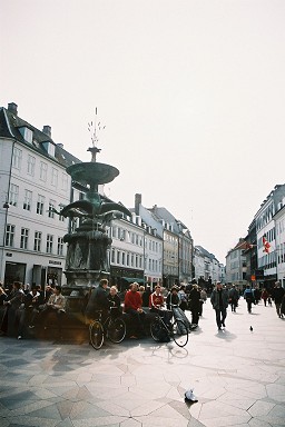 �X�g���C�G