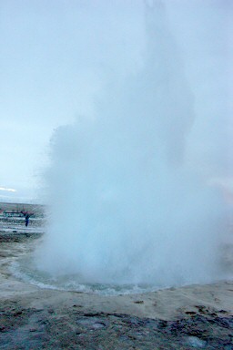 �Q�C�V�[��