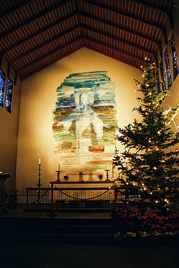 �X�J�D���z���g����