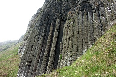 ���l�̃I���K��