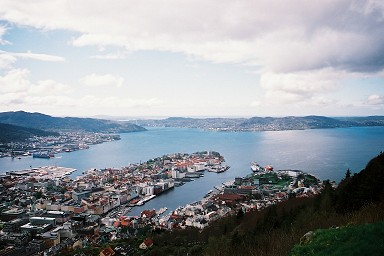 �t���C�G���R