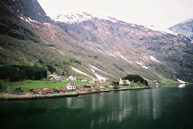 �l�[���C�t�B�����h