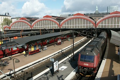 �R�y���n�[�Q�������w