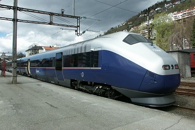 �V�O�i�`���[��