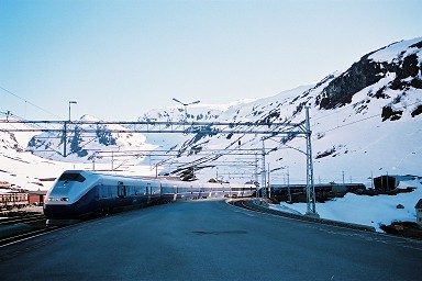 �V�O�i�`���[��