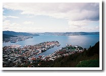 �t���C�G���R