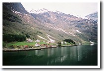 �l�[���C�t�B�����h