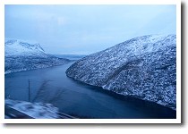 �t�B�����h