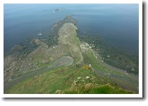 �W���C�A���c�E�R�[�Y�E�F�C