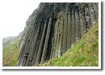 ���l�̃I���K��