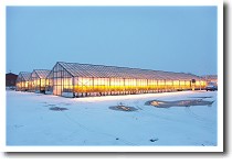 �n�M�r�j�[���n�E�X