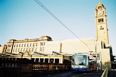 �V�h�j�[�����w�ƘH�ʓd��(SLR)