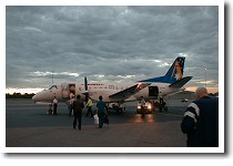 �P���f���G�A