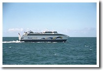 �t�F���[����