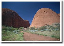 �}�E���g�I���K�Y