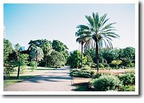 �{�^�j�b�N�K�[�f��