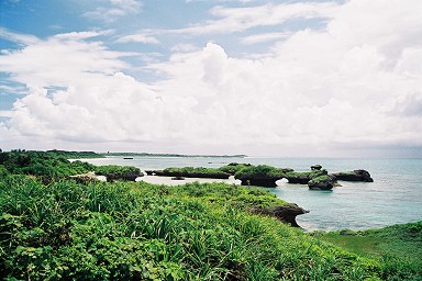 �V�铇�ƃm�b�`��