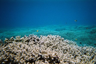 ���\���M���̎X��