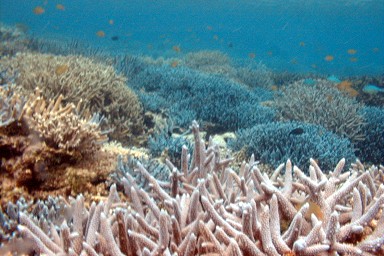 ���d����