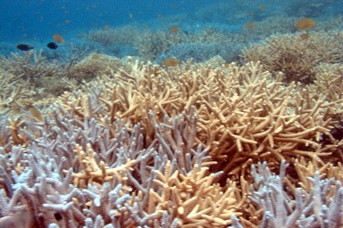 ���d����