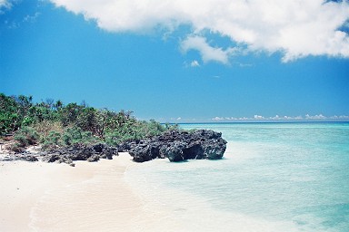 �l�V�^���Q��