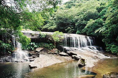 �T���K���̑�