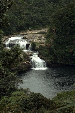 �}���E�h�̑�