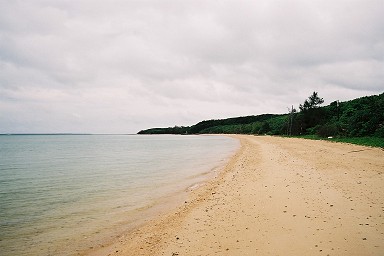 �����}�X�r�[�`