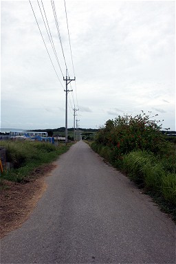 �V���K�[���[�h