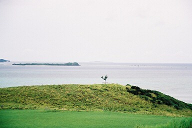 ���股�̖�