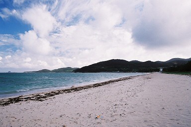 �C�[�t�r�[�`