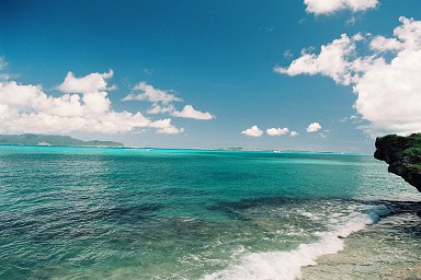 ���{�C��