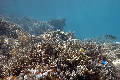 ���{�C�݊C��