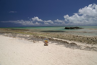 �����̕l�i�J�C�W�l�j