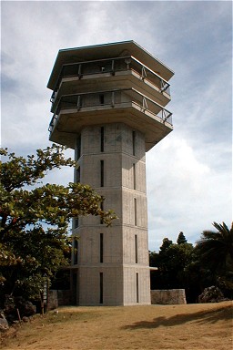 ���d�R������