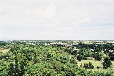 ���d�R������