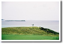 ���股�̖�