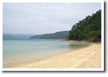 加計呂麻島のビーチ