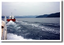 海上タクシーに牽引