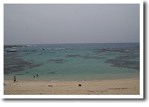 �����C��