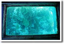 �약�p�̎X��