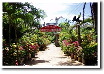 �o���r�h�[�ό��_��